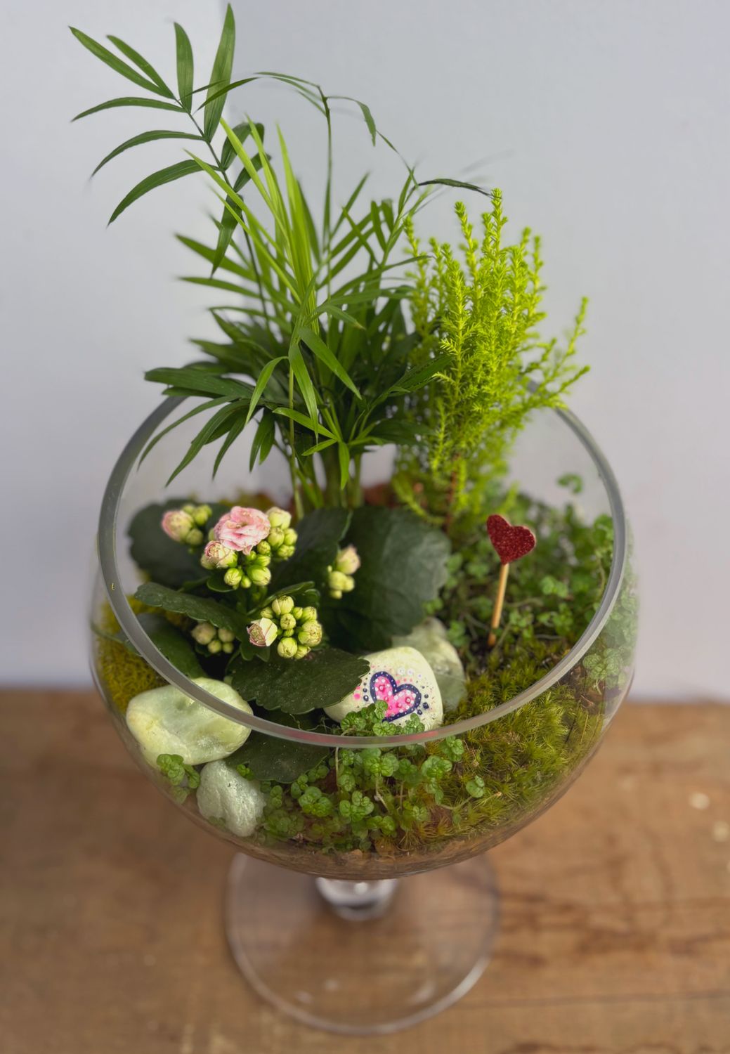 "Cupid’s Corner" Terrarium