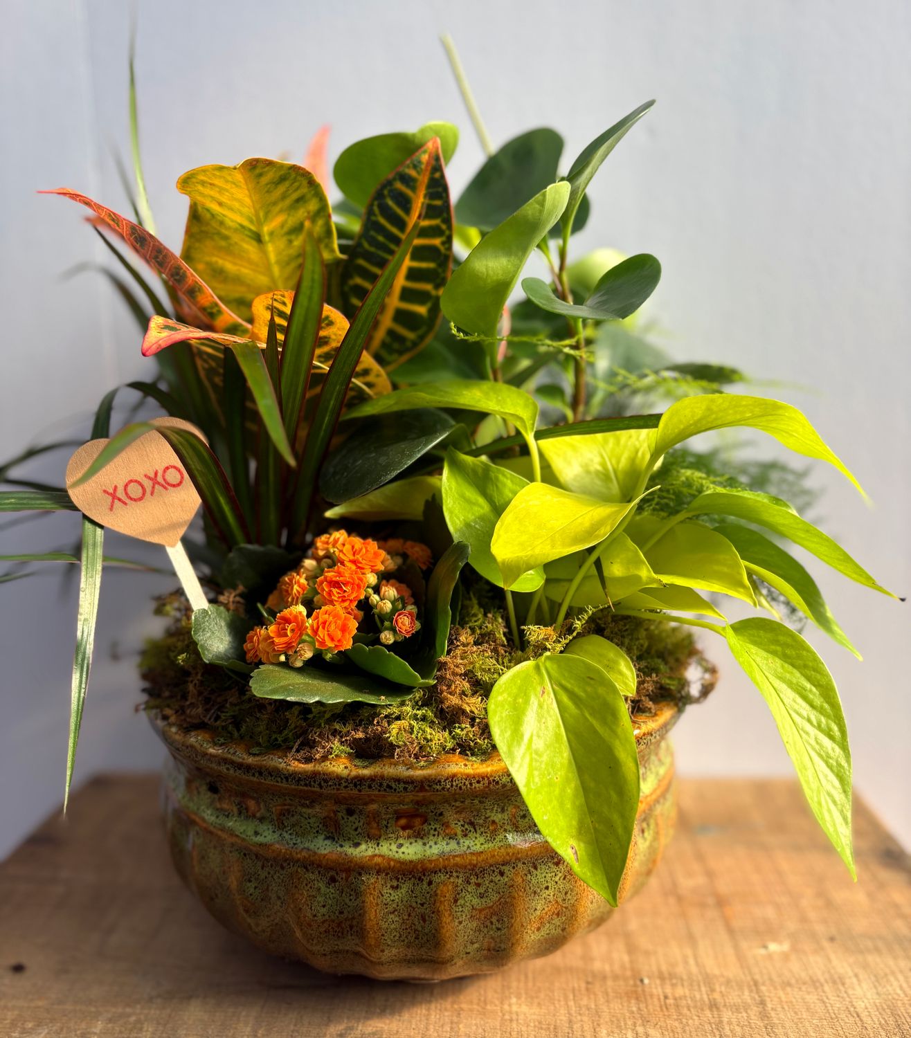 "Heart of the Tropics" Dish Garden