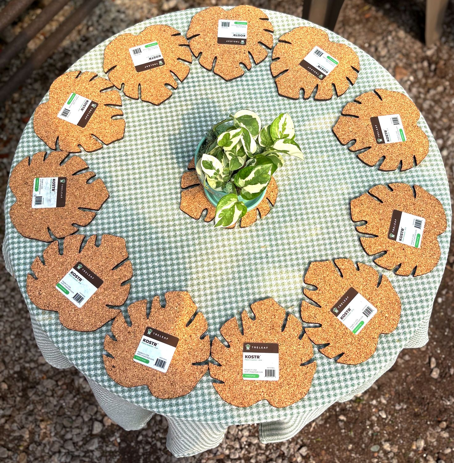 Treleaf Monstera Leaf Cork "KOSTR" Plant Coaster