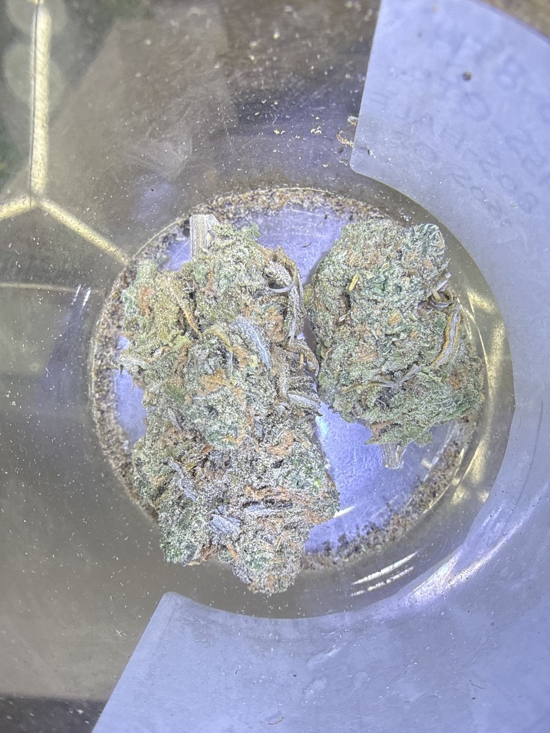 Blue Dream
