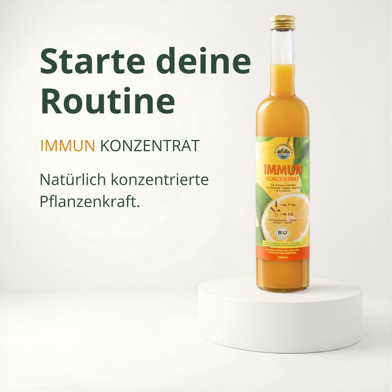 Bio Ingwer Kurkuma Konzentrat