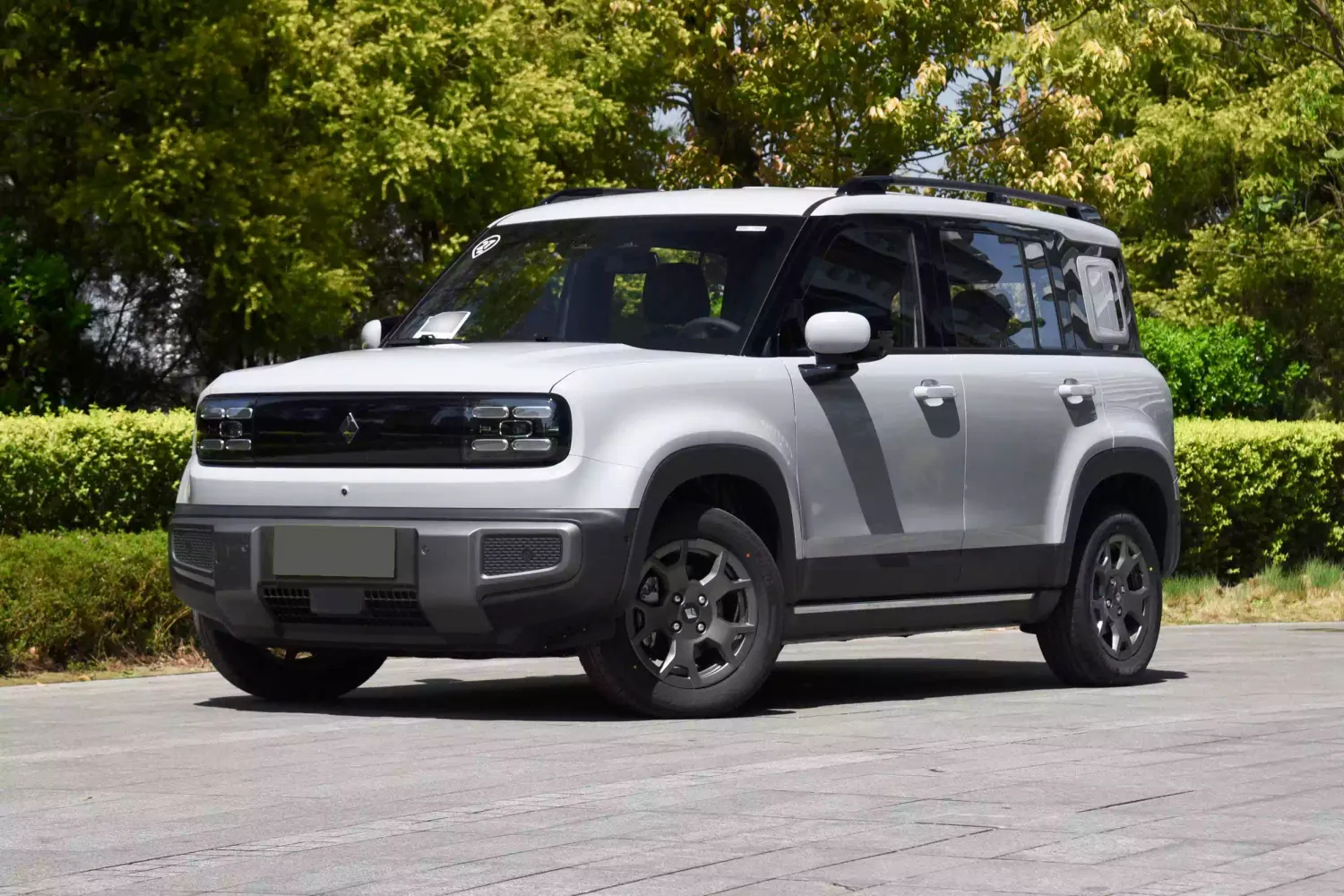 BAOJUN YUEYE PIUS