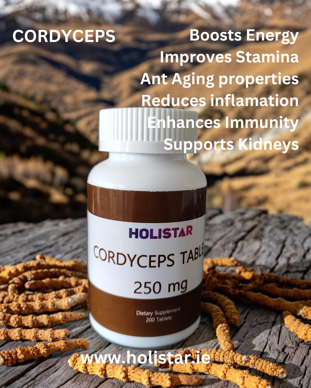 Cordyceps Tablets