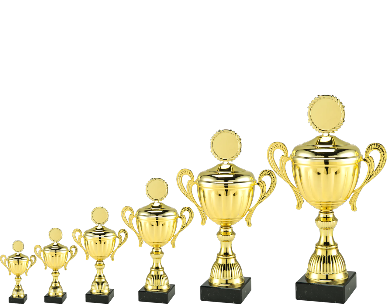 Trofee MT.142