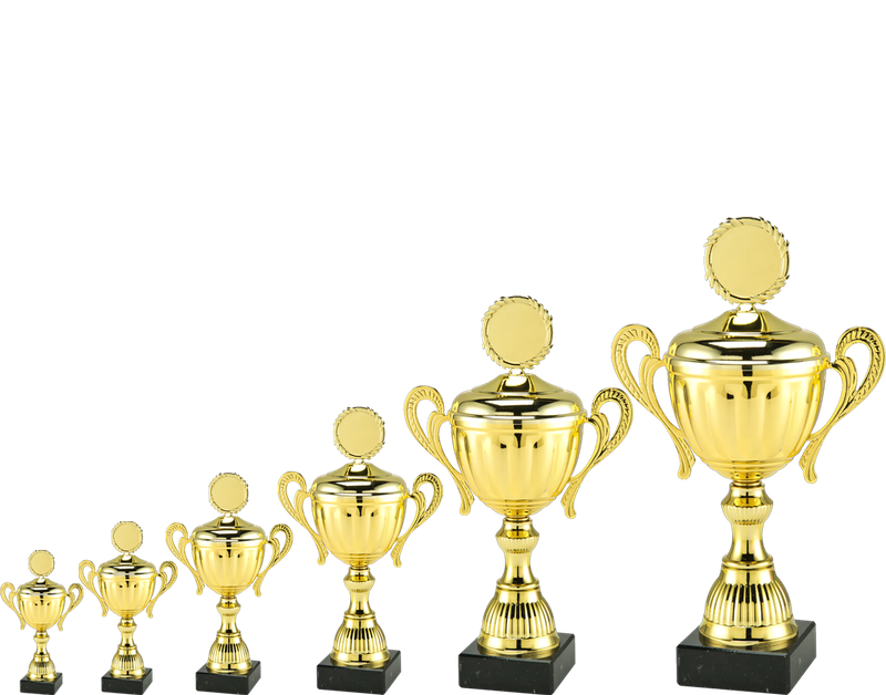 Trofee MT.142