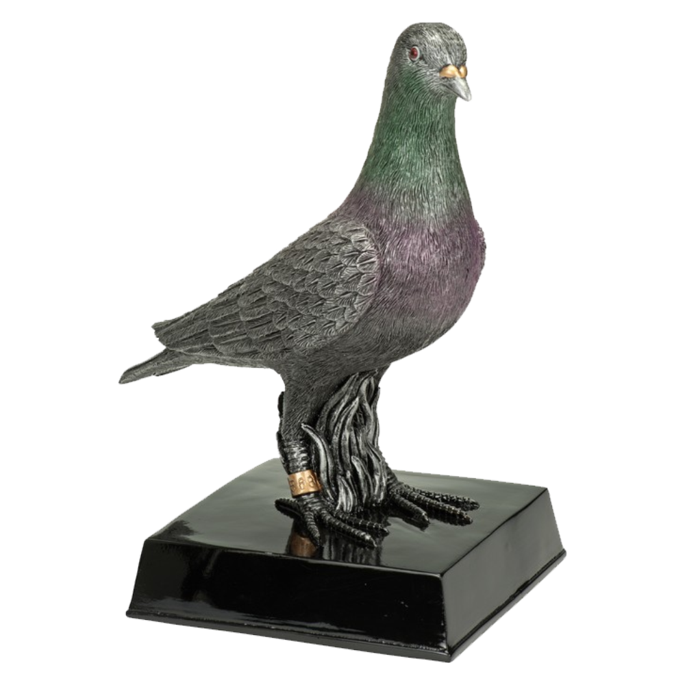 Sport Trofee - Duif