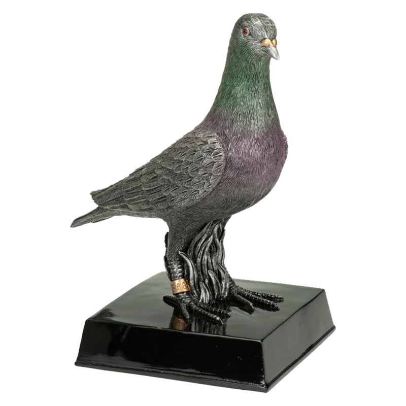 Sport Trofee - Duif