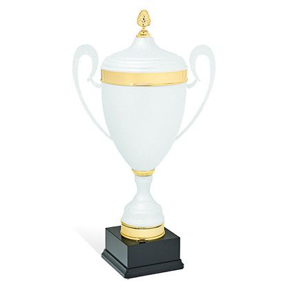 Sportprijs AX9100