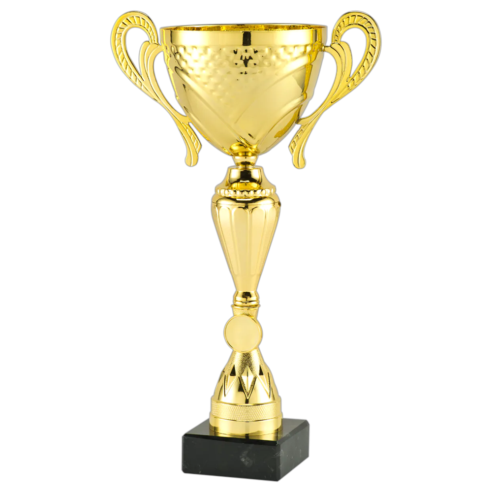 Trofee MT.145