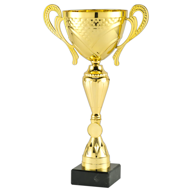 Trofee MT.145