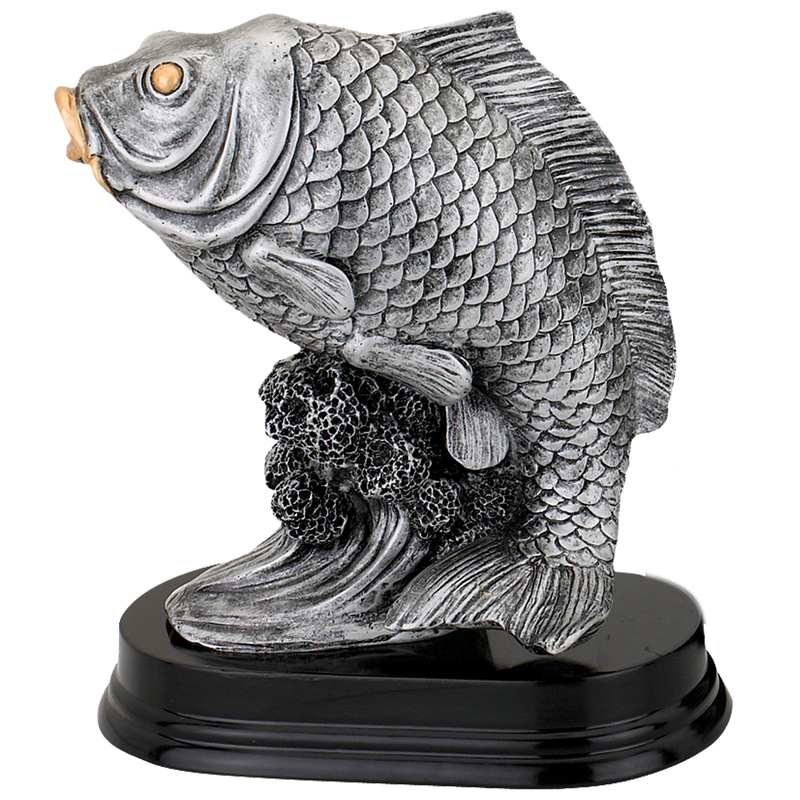 Trofee Karper