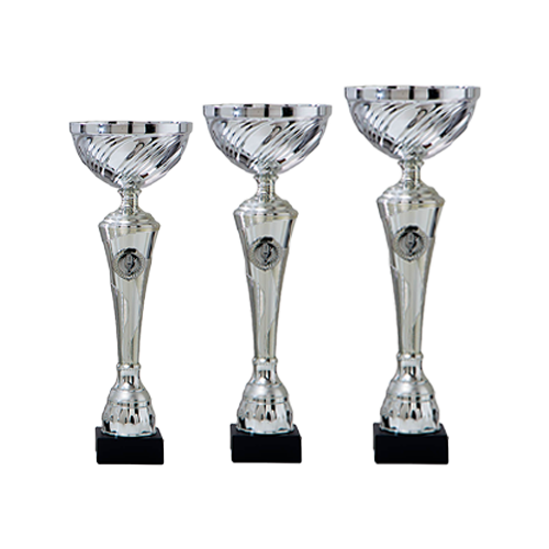 Sportprijs AR1070