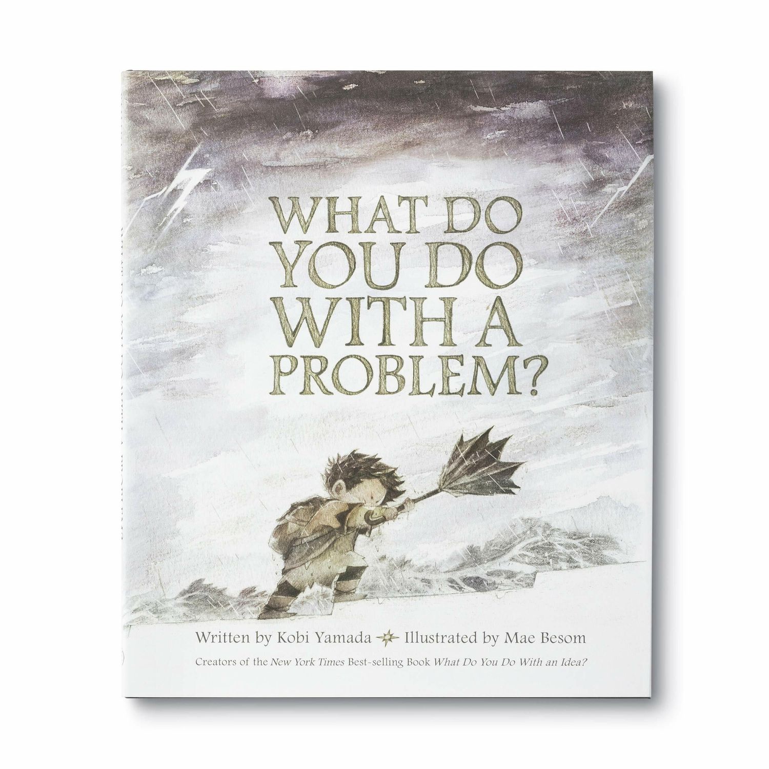 What Do You Do With a Problem? by Kobi Yamada. 2016. Hardcover (Ch-PIC)