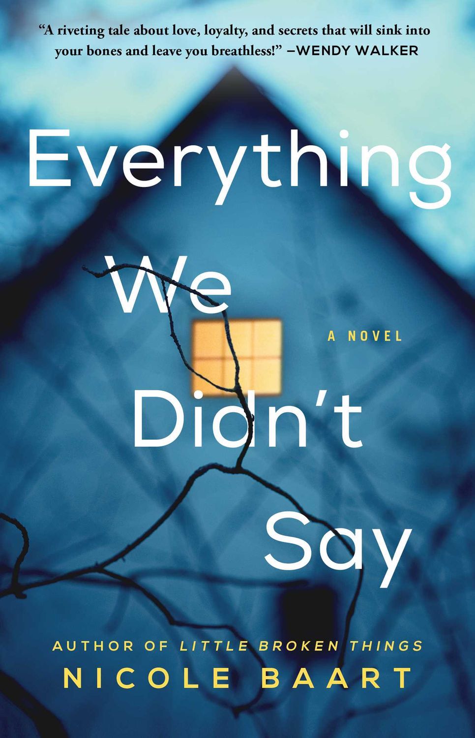 Everything We Didn't Say by Nicole Baart; 2021. Hardcover.
