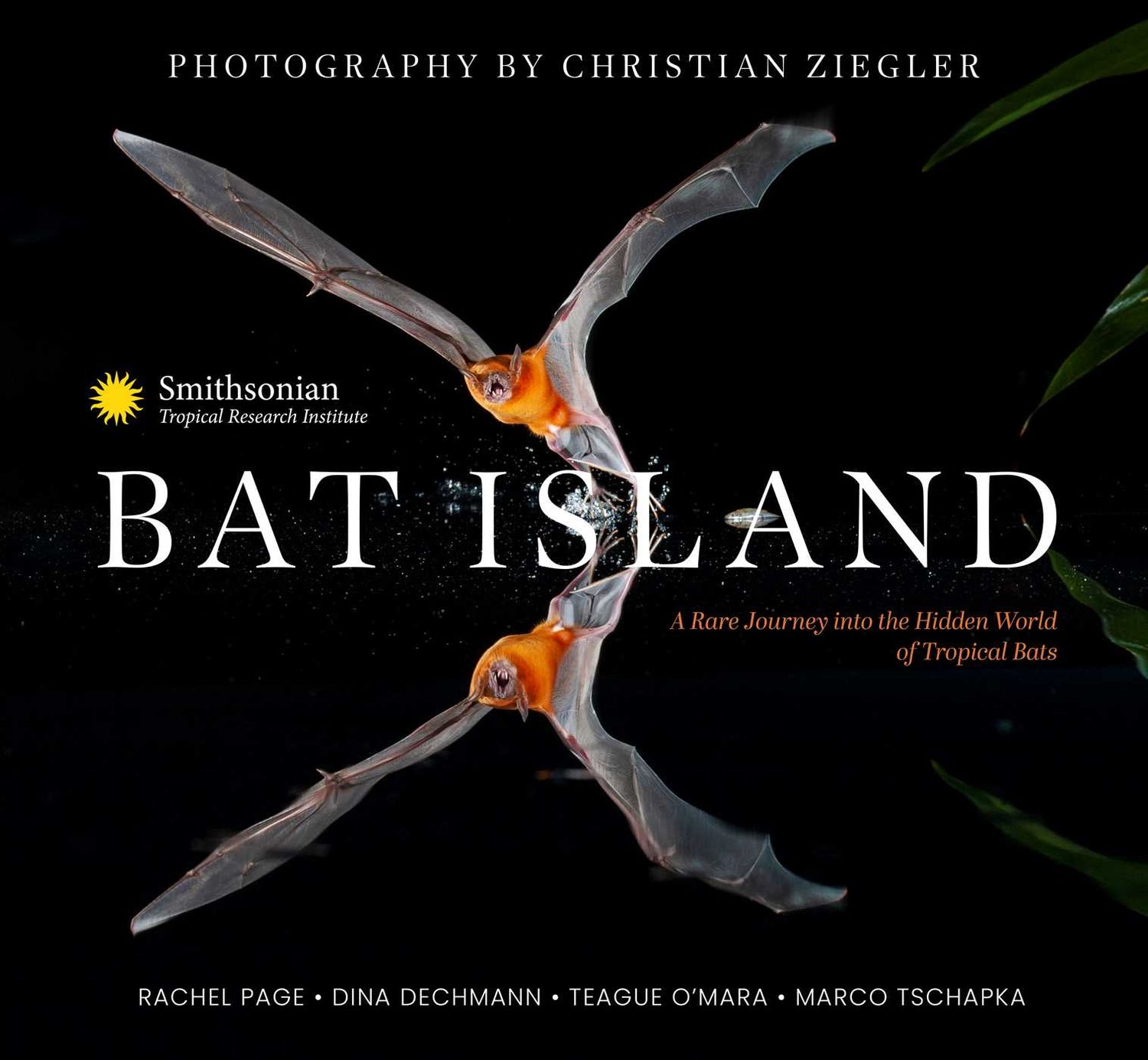 Bat Island by Rachel A. Page, Dina K. N. Dechmann, M. Teague O'Mara, Marco Tschapka, The Smithsonian Tropical Research Institute; 2023. Hardcover. (Really Big)