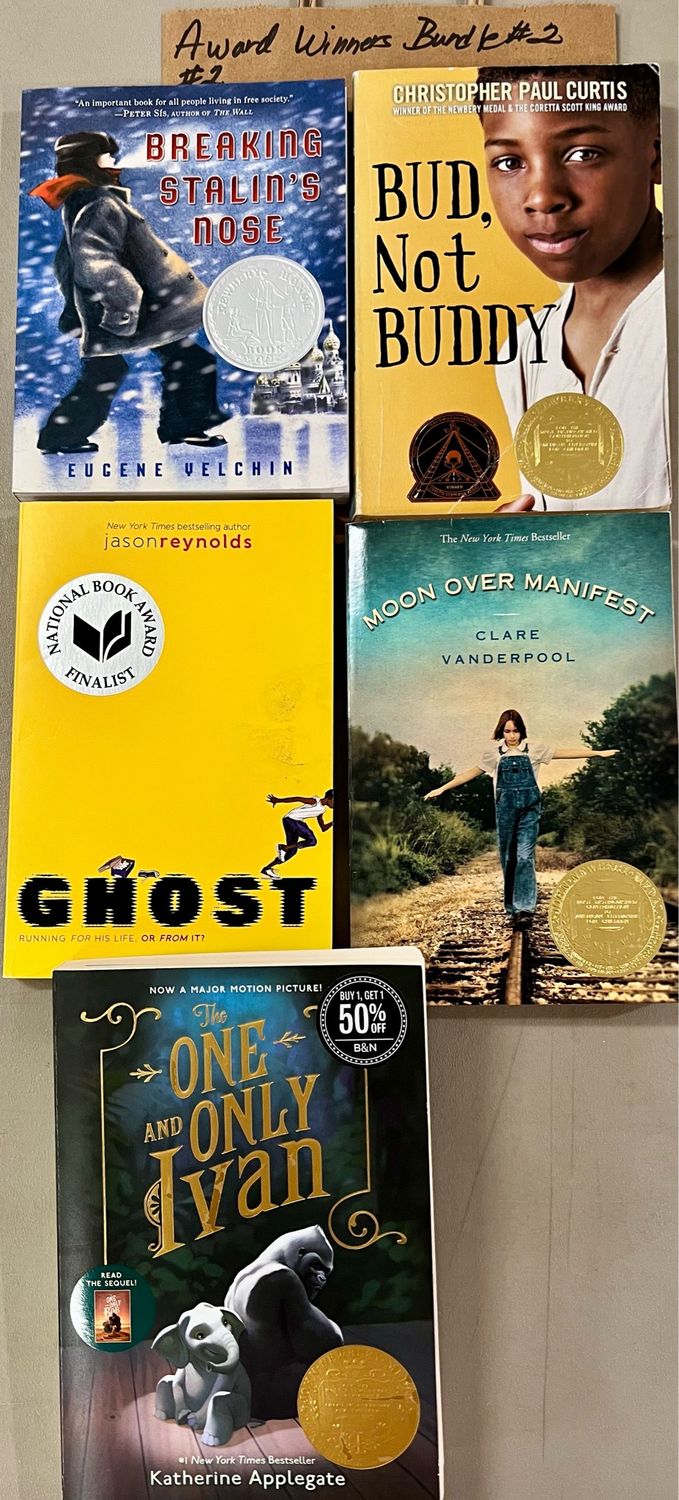 Award Winners Bundle #2 Softcover (Ch-FIC) Newbery Medal and National Book Award