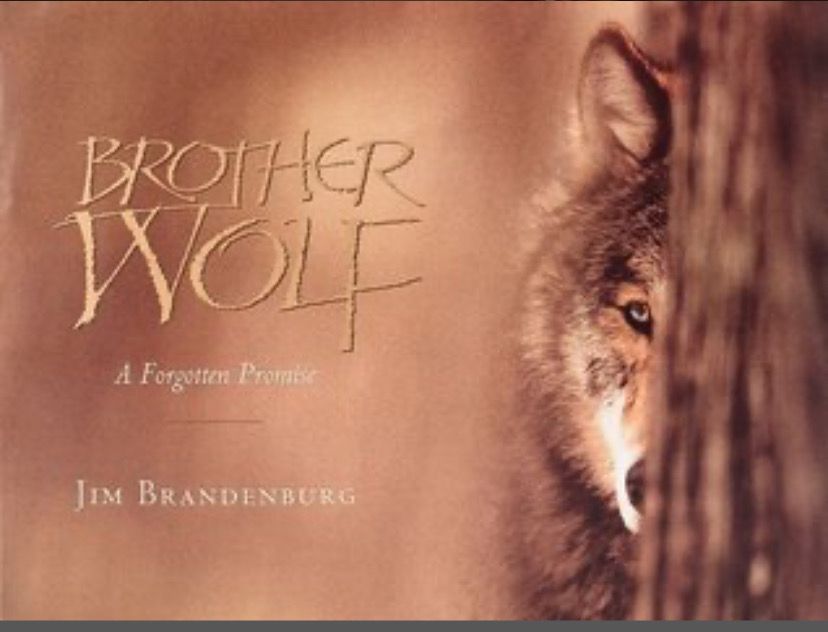 Brother Wolf: A Forgotten Promise by Jim Brandenburg. 1993. Hardcover. (Really Big)