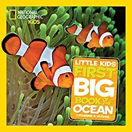 First Big Book of the Ocean by Catherine Hughes. (National Geographic First Little Kids Big Books) 2013. Hardcover (Ch-NF)