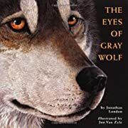 Eyes of Gray Wolf, The by Jonathan London; 1993. Hardcover. (Ch-NF)