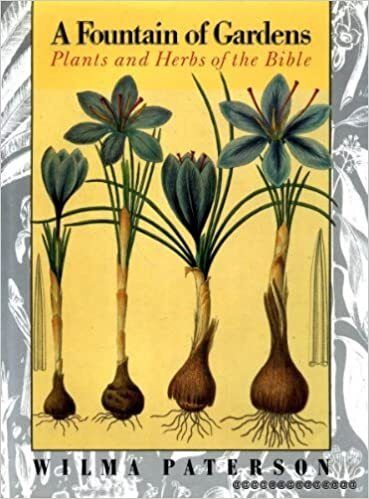 Fountain of Gardens: Plants and Herbs of the Bible, A by Wilma Paterson; 1992. Hardcover (LF) (Discounted)