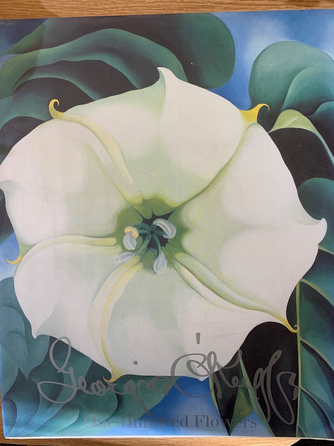 Georgia O'Keeffe: One Hundred Flowers by Georgia O'Keeffe &amp; Nicholas Calloway; 1989. Softcover. (Really Big)