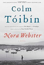 Nora Webster by Colm Toibin; 2014. Hardcover.