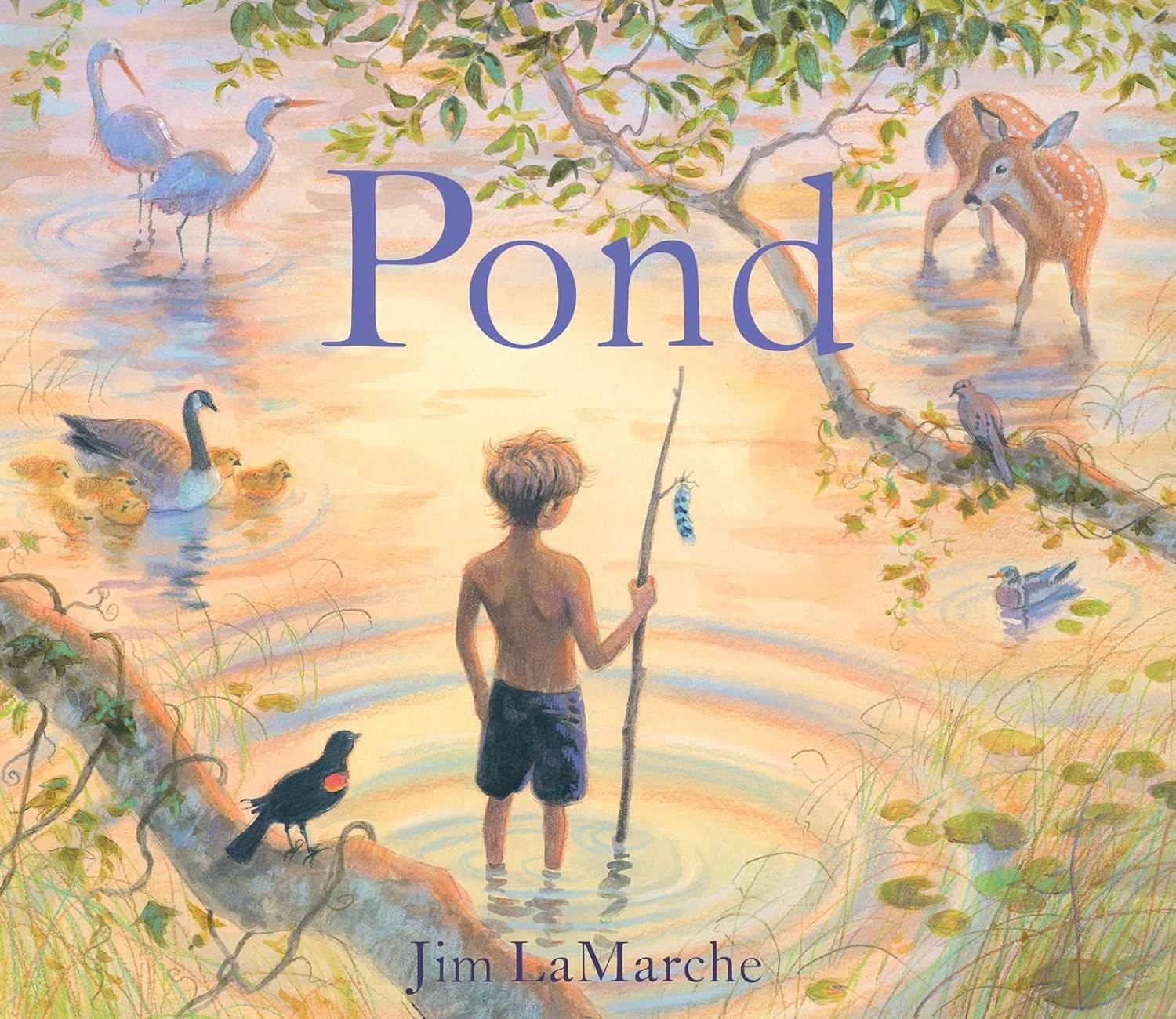 Pond by Jim La Marche. 2016. Hardcover (Ch-NF)