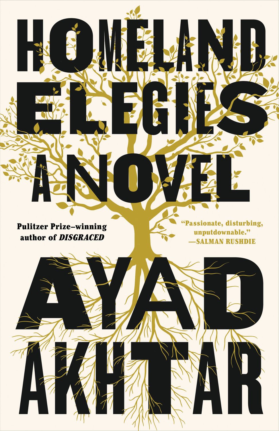 Homeland Elegies by Ayad Akhtar; 2020. Hardcover.