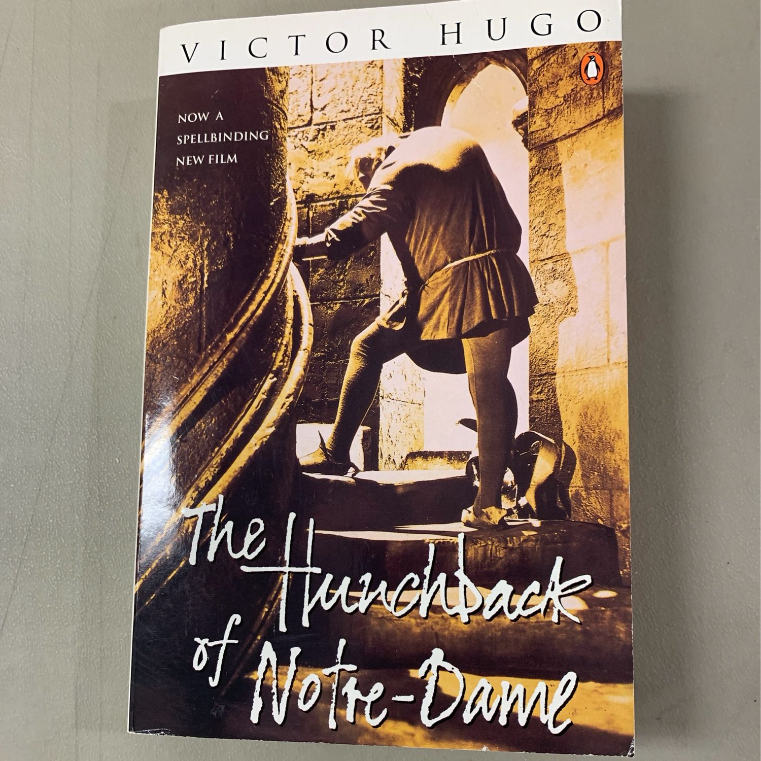 Hunchback of Notre-Dame, The by Victor Hugo; 1996. Softcover.
