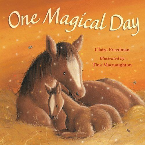One Magical Day by Claire Freedman. 2007. Hardcover. (Ch-PIC)