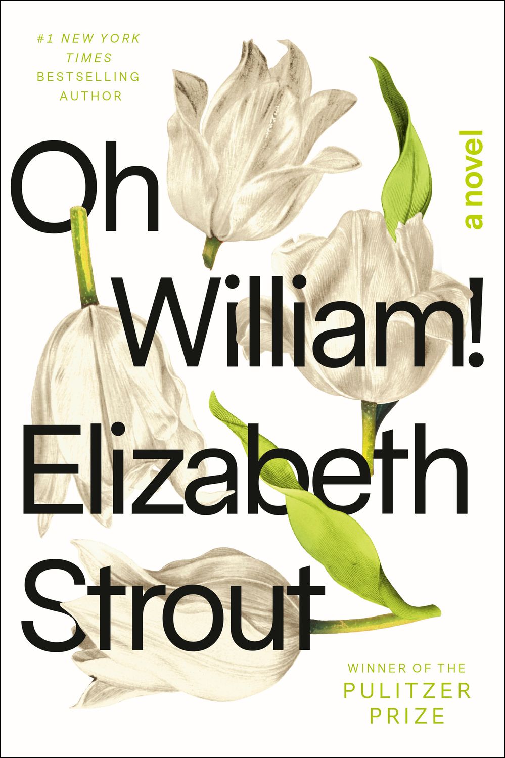 Oh William! (Amgash #3) by Elizabeth Strout. 2021. Hardcover.