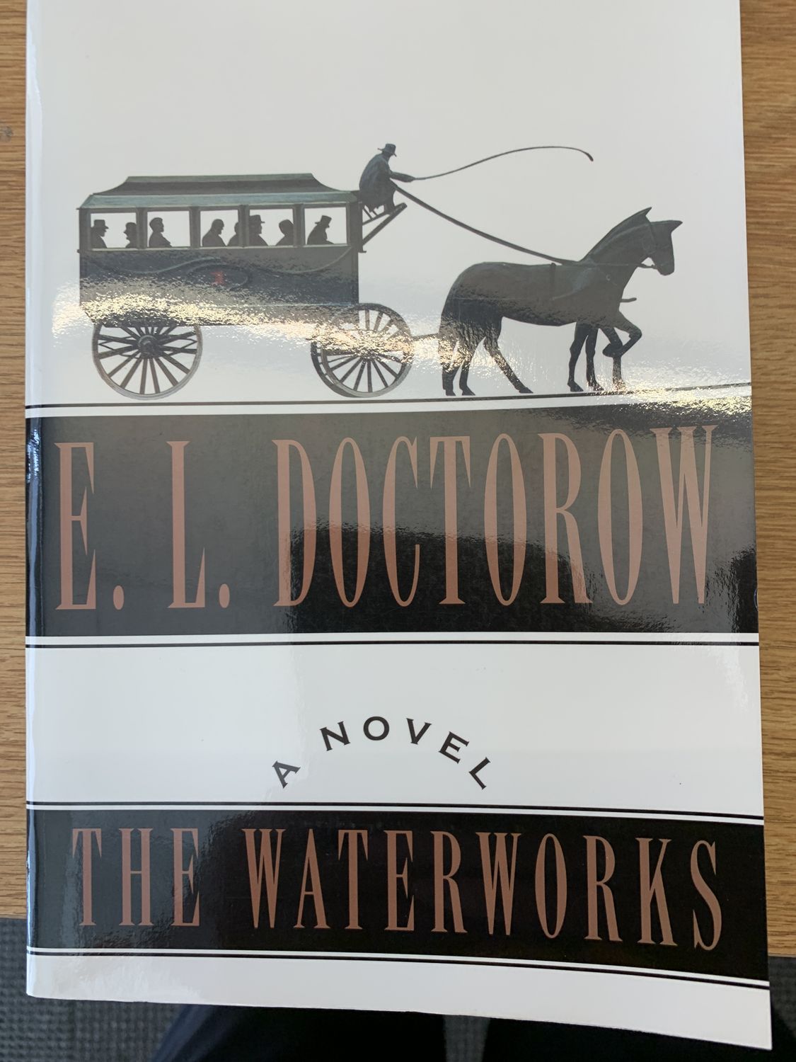 Waterworks, The by E.L. Doctorow; 1994. Hardcover.