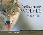 Yellowstone Wolves in the Wild by James C. Halfpenny; 2003. Softcover. (LF)