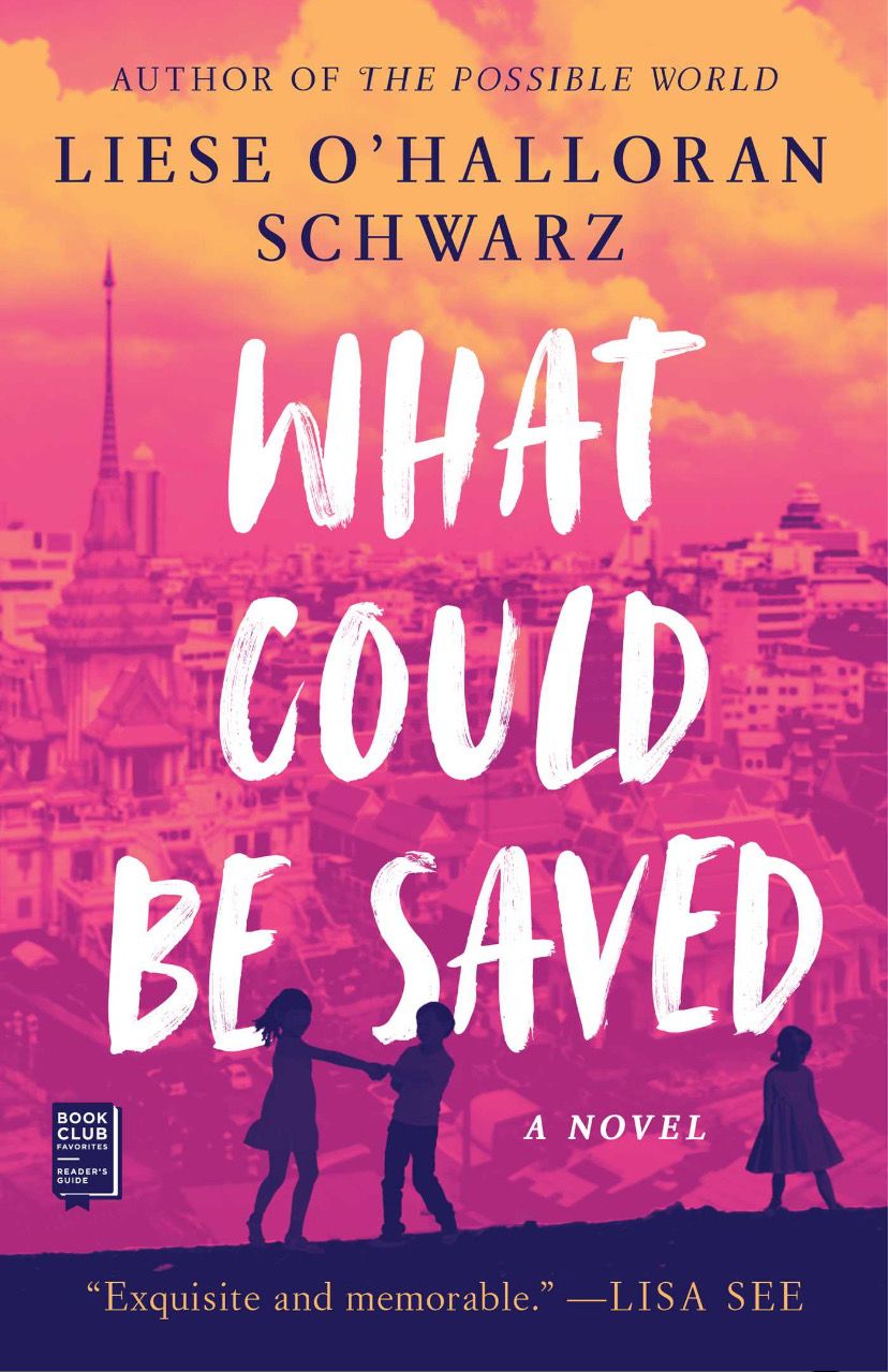 What Could Be Saved by Liese O'Halloran Schwarz; 2021. Softcover.