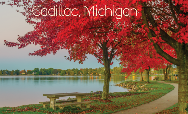 CADILLAC CITY PARK | THIN MAGNET