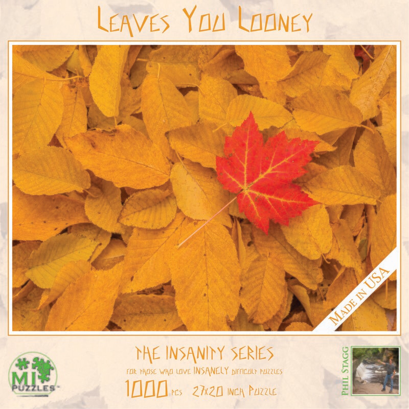 LEAVES YOU LOONEY | 1000 PIECE INSANITY PUZZLE
