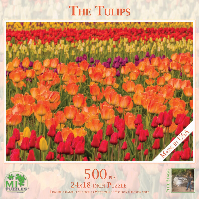 THE TULIPS | 500 PIECE PUZZLE