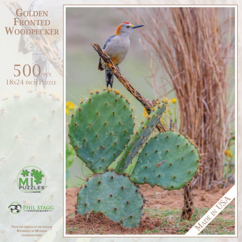 GOLDEN-FRONTED WOODPECKER | 500 PIECE PUZZLE