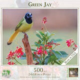 GREEN JAY