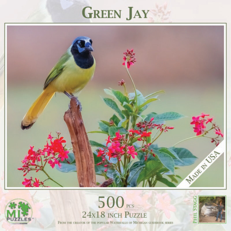 GREEN JAY