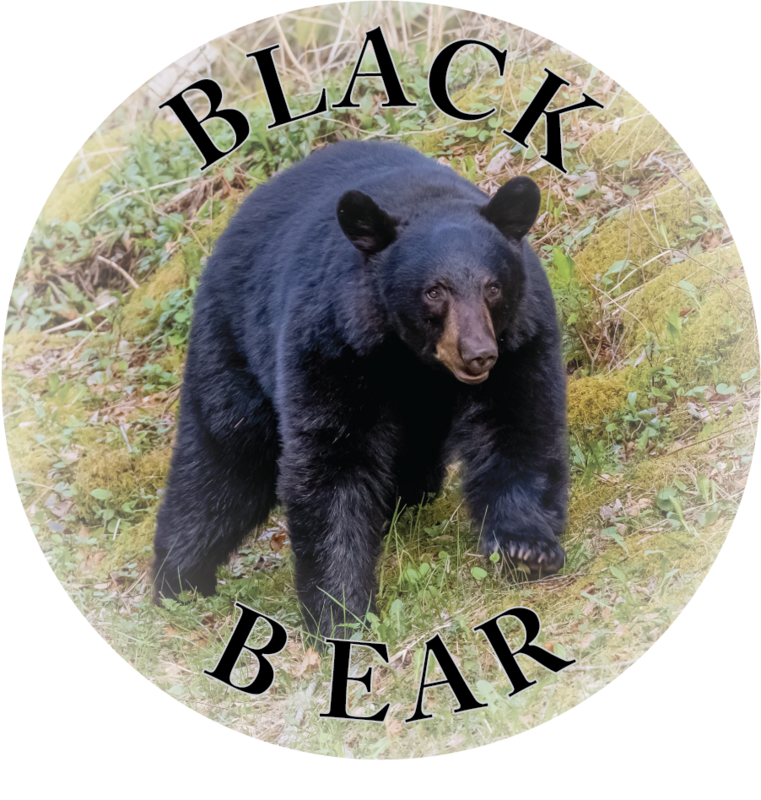 BLACK BEAR | THIN MAGNET