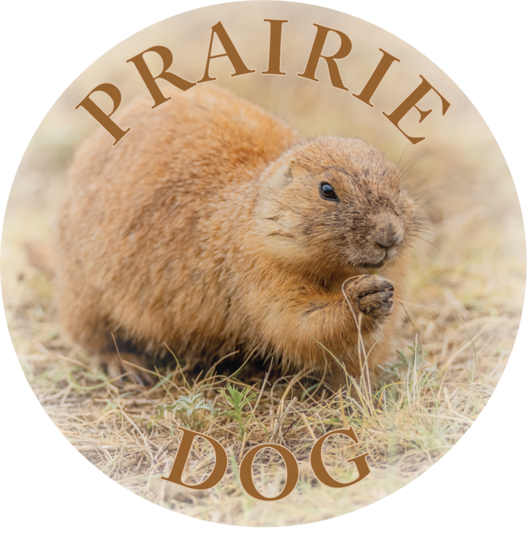 PRARIE DOG