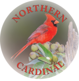 NORTHERN CARDINAL