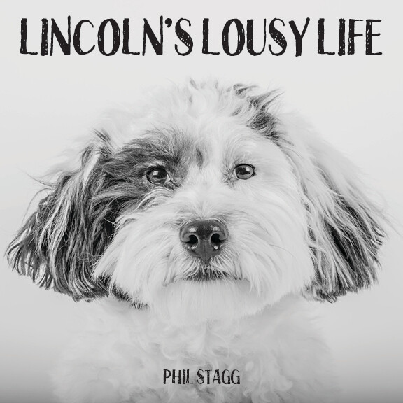 LINCOLN’S LOUSY LIFE