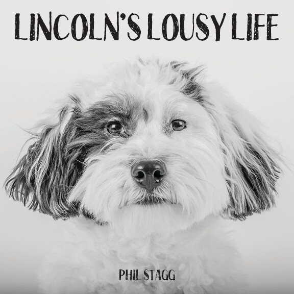 LINCOLN’S LOUSY LIFE | CHILDREN&#39;S BOOK