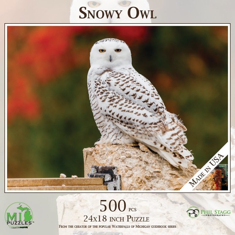 SNOWY OWL | 500 PIECE PUZZLE