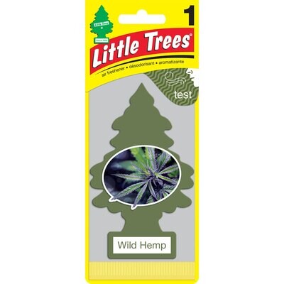 Little Tree Car Fresheners Wild Hemp Singles 24ct