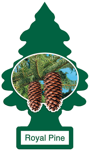 Little Trees Car Fresheners Royal Pine Singles 24 count