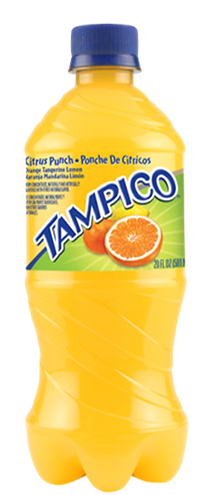 Tampico Citrus Punch 24/20 oz
