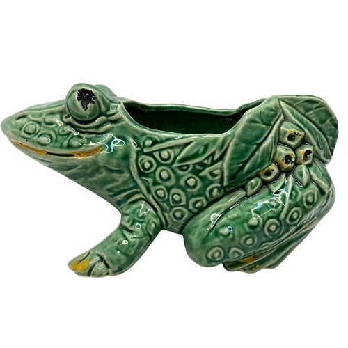 Frog Planter